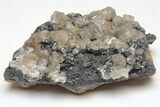 Cerussite Crystals on Galena - Morocco #213571-1
